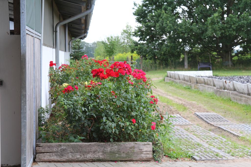 Ferienwohnungen In Den Wiesen Oranienburg Exterior foto